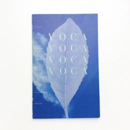 VOCA展に映し出された現在 いまいるところ/いまあるあかし