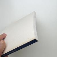 「色彩」としてのスフィンクス 加納光於