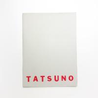 辰野登恵子展