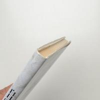 白日の狂気