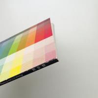 彩の匠 Process to Color Printing