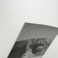 木下晋展 生との対話