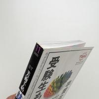 美術手帖　2000年11月号