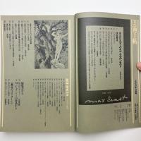 美術手帖　1976年6月号
