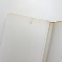 美しい夏 女ともだち