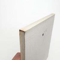 加納光於 《稲妻捕り》 Elements / 《稲妻捕り》とともに 瀧口修造