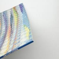 照屋勇賢 水に浮かぶ島展