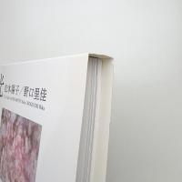 光 松本陽子 野口里佳