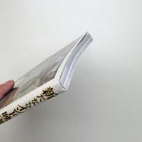 新たなるインド映画の世界