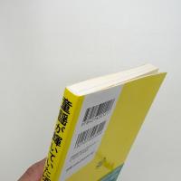 童謡が輝いていた頃 アイスクリームの歌の自叙伝