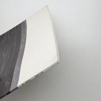 時の曳舟 米林雄一展