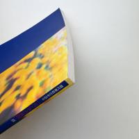 現代美術の手法6　「光とその表現」展