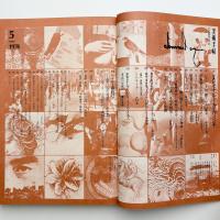 美術手帖　1974年5月号