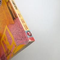 美術手帖　1984年6月号