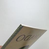 岡本光博 Mirror/Paintings 1991-1999