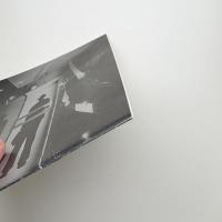 BOROFSKY Drawings, Printings & Multiples