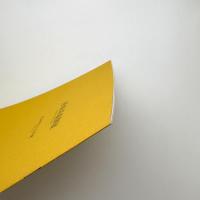 彦坂尚嘉個展 私が中にいる皮膚
