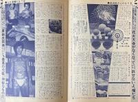 だぶだぼ 27号 まーるい地球の暮らし方 やり方と資料6