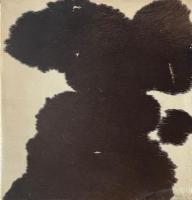 La Republica Argentina