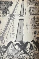 SUPER PELICAN CLUB APRIL 1985 NO.33　スーパーペリカンクラブ 第二期終刊号