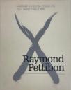 Raymond Pettibon Whatever it is you're looking for you won't find it here 
