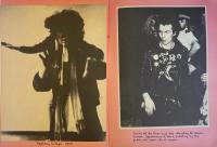 The Sid Vicious Family Album 