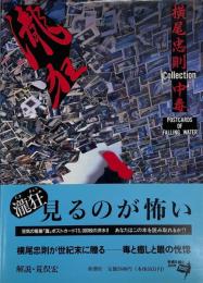 瀧狂 横尾忠則collection中毒 Postcards of falling water