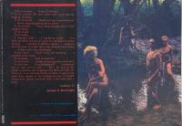 The Wild Documents 1985 フールズ・メイト Fool's Mate 増刊