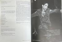 Prince A Documentary 1993年版