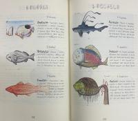 Codex Seraphinianus   