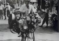 紅い花 Scarlet bloom ワイズ出版写真叢書2