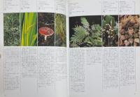 図説快楽植物大全