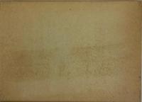 北斗七星と海蛇　