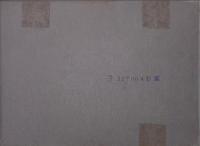 Nobuyoshi Araki Theater of Love  愛の劇場　