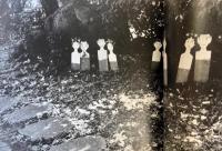 写狂老人日記 命日