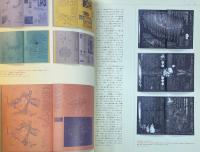 idea アイデア 324 特集：ダイアグラム・地図作成法