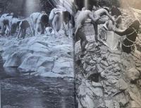 ゼロ次元 加藤好弘と60年代 