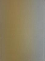 Hans Feurer ハンス・フューラー写真集