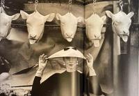 ギイ・ブルダン Guy Bourdin