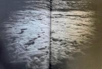 NUDE / A ROOM / FLOWERS   M.26