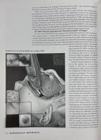 Dangerous Drawings Interviews with Comix and Graphix Artists