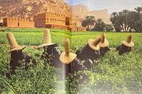 Steve McCurry  STERN Fotografie Portfolio 68