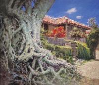 與那覇朝大画集　サイン入