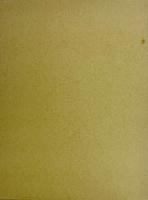 與那覇朝大画集　サイン入