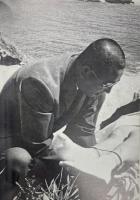 ピンク映画に賭ける革命精神　若松孝二作品集　ピンク映画集　わがエロスの宴