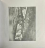 KATE MOSS ケイト・モス