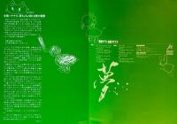 真夜中TV  LPレコード