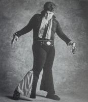 King and I A Little Gallery of Elvis Impersonators