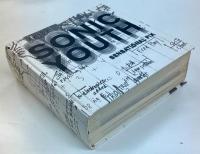 Sonic Youth etc.: Sensational Fix