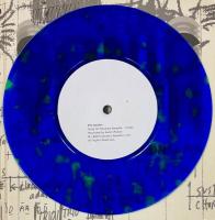 Sonic Youth etc.: Sensational Fix